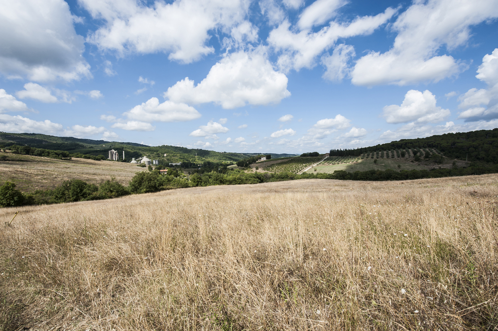 托斯卡納的農(nóng)產(chǎn)品加工工廠意大利葡萄酒農(nóng)場(chǎng)四周環(huán)繞著葡萄園和橄欖樹