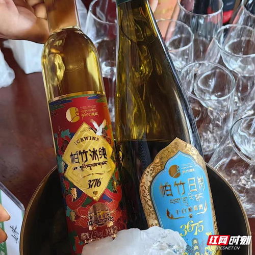 奇遇桑日丨這座海拔3500米的葡萄酒莊,儲藏著高原的甜美